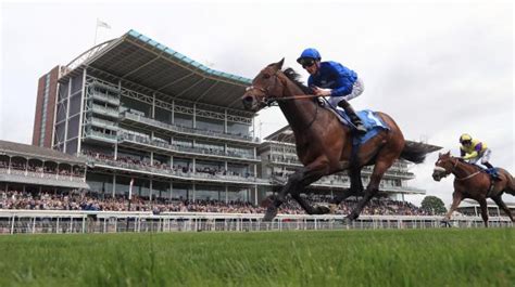 racing results from york yesterday